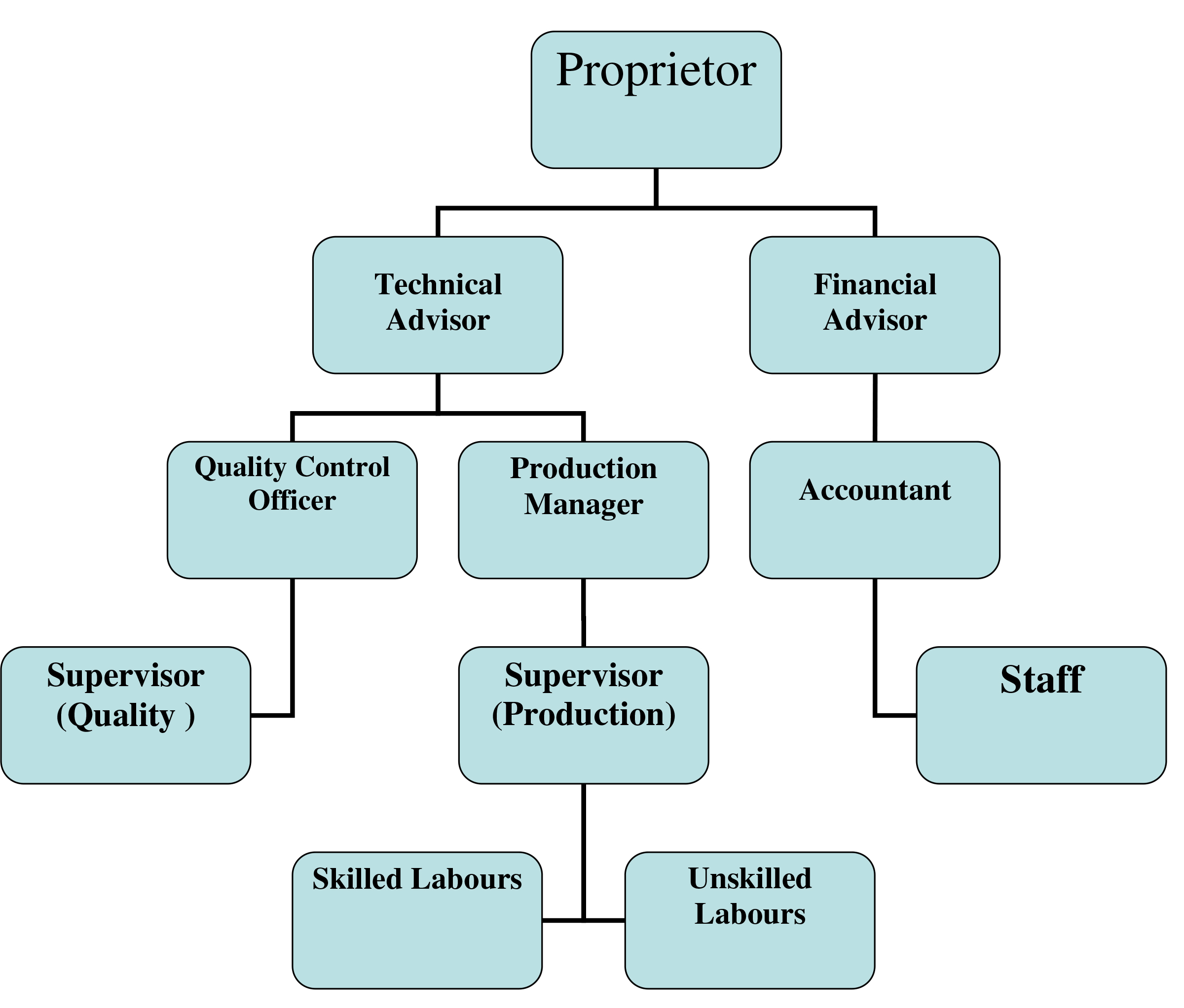Organisation Structure Chart